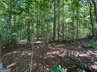 Sautee Ridge Rd, Clarkesville, GA 30523