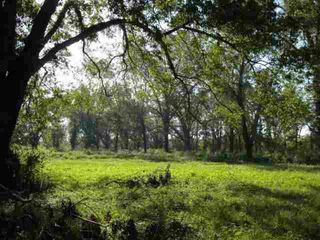 Lake Mary Rd, Woodville, MS 39669
