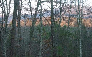 Padgett Ln, Turtletown, TN 37391