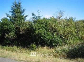 253 S Wynnoochee Drive, Ocean Shores, WA 98569
