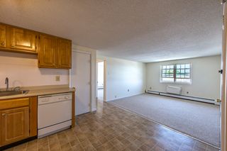 apartments for rent in lowell ma 37 rentals trulia