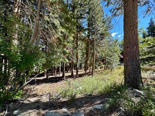 123 Woodman St, Mammoth Lakes, CA 93546