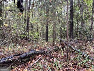 266 Clinton Crossing Dr, Gray, GA 31032