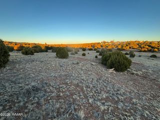 4970 Hollyhock St, Clay Springs, AZ 85923