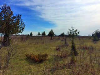 Martin Rd, Moran, MI 49760