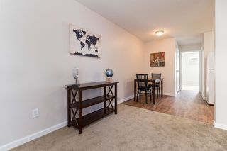 4748 N  Mesa St #330, El Paso, TX 79912