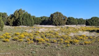 27 Winchester Trl, Vernon, AZ 85940