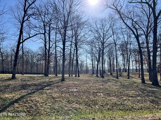 Lot  31 Bluff View Loop, Crossville, TN 38571