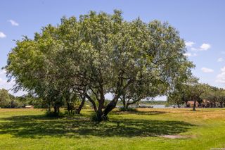 TBD 24 Lakeshore LOT 24, Sandia, TX 78383