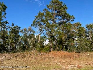 Trumbull Dr, Spring Hill, FL 34609