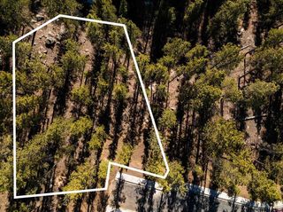 108 (Lot 134) Avalanche Lily Drive, Durango, CO 81301