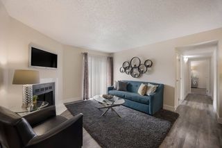 2880 Woodland Hills Dr, Colorado Springs, CO 80918
