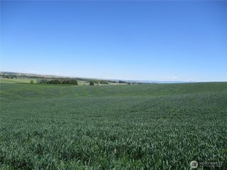 4285 Detour Road, Touchet, WA 99360