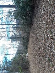 620 Cross Creek Cir, Sylva, NC 28779