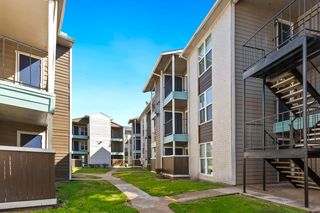 8600 S Course Dr #2113 Houston TX 77099 Trulia