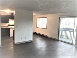 apartments for rent in moscow id 5 rentals trulia
