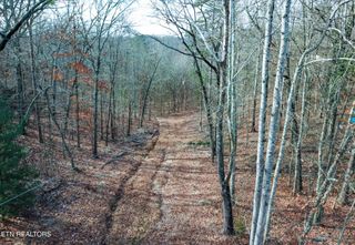 Hall, Rockwood, TN 37854