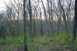 50 County Road 9, Arbela, MO 63432