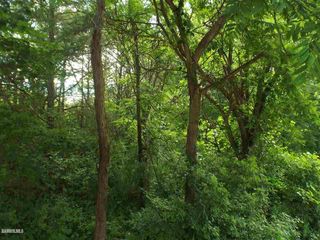 Wheeler Rd, Durand, IL 61024