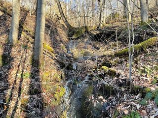 Bearpaw Rdg, Franklin, NC 28734