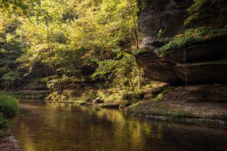 Mill Creek Rd, Nunnelly, TN 37137