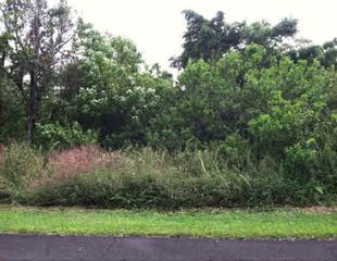 Kamelewai St #50, Pahoa, HI 96778