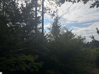 King Rd, Benzonia, MI 49616