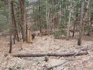 410-089-001 Eastern District Road, Danbury, NH 03230