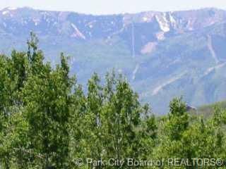 G 66 Alexander Canyon Road Park #G66, Coalville, UT 84017