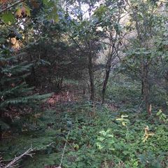 Lot 6 Hooker Rd, Poynette, WI 53955