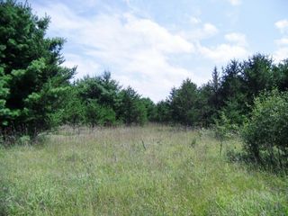 Culbertson Rd, Webster, WI 54893