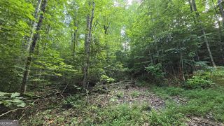 Lot 14 Kilpatrick Point Ter, Hayesville, NC 28904