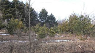 Downington Rd, Deckerville, MI 48427