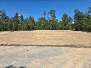 25 Statice Ct, Homosassa, FL 34446