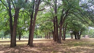 147 La Bota, Corsicana, TX 75109