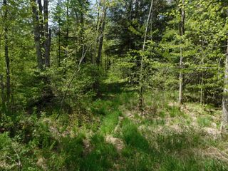 Fox Farm Rd, Tomahawk, WI 54487