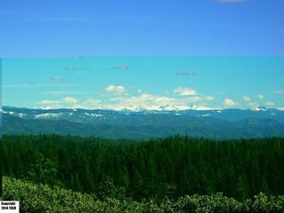 29 Acres Via De Los Pinos, Coulterville, CA 95311