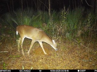 Highway 18 #WP001, Cheneyville, LA 71325