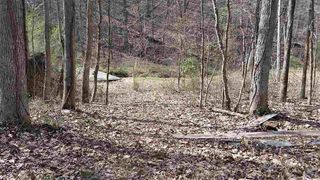 Owl Hollow Trl SW, Mc Donald, TN 37353