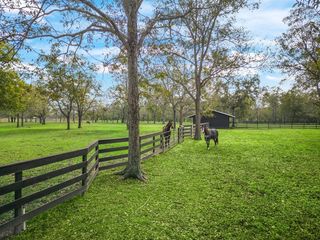 32927 Southern Manors Dr #2, Fulshear, TX 77441