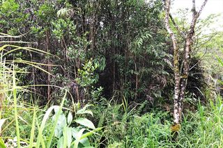 Road 2 #2963, Mountain View, HI 96771