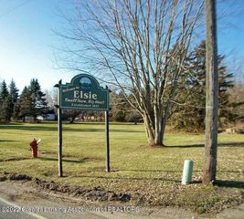 N  Ovid St, Elsie, MI 48831