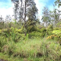 Ooaa Road Rd #6-lot 4164, Mountain View, HI 96771