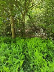 1 Matlock Hills Rd, Franklin, NC 28734