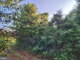14 Three Mile Mountain Ln, Mount Jackson, VA 22842