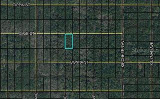 xx GALE STREET, Hastings, FL 32145