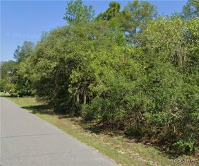863 E  Cermak St, Hernando, FL 34442