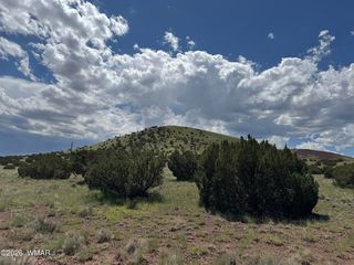 119 County Road 5106, Concho, AZ 85924