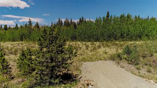 515 Wild Rye Road, Fairplay, CO 80440