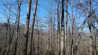38 Cave Springs Rd, Cullowhee, NC 28723